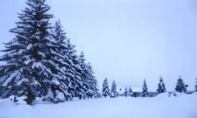 Apollon Hotel Metsovo