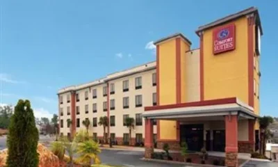 Comfort Suites Stockbridge