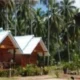 Lanta New Coconut Bungalow