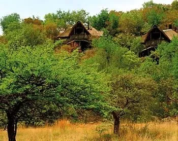 Tshukudu Bush Lodge