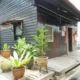 My Chew Jetty Homestay