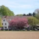 Waldesruh Hotel Georgsmarienhütte