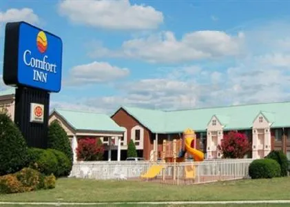 Comfort Inn Petersburg