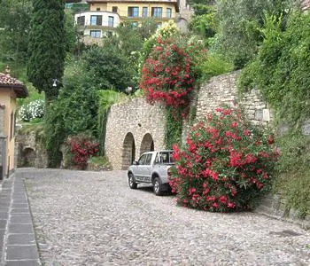 Agnese Bed & Breakfast Bergamo