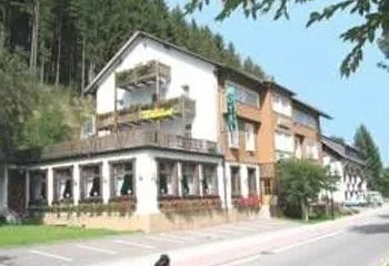 Hotel Waldlust Titisee-Neustadt