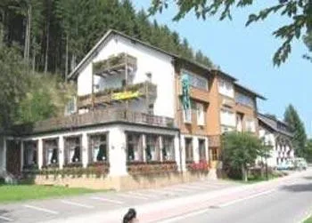 Hotel Waldlust Titisee-Neustadt