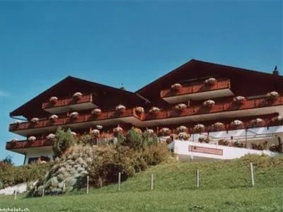 Hotel Le Grand Chalet