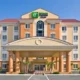 Holiday Inn Express Hotel & Suites Orlando South-Davenport