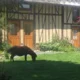 La Ferme Saint Nicolas Hotel Saint-Symphorien