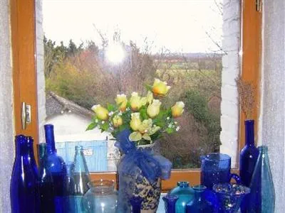 Bed & Breakfast La Maison Bleue Lapeyrouse