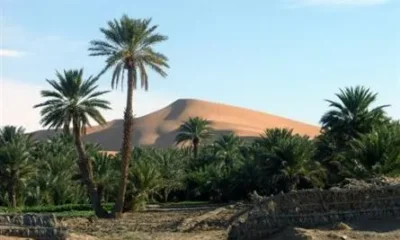 Auberge l'Oasis