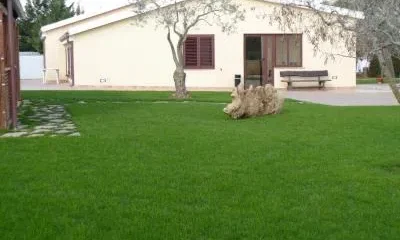 Bonsai Alghero