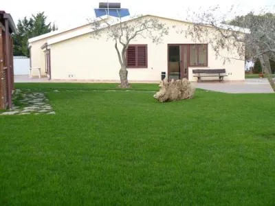 Bonsai Alghero