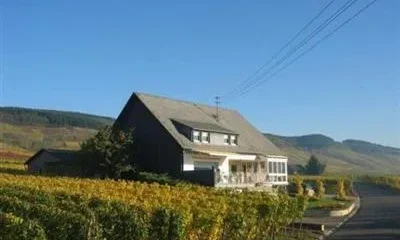 Ferienweingut Wolfgang Adamy Gästehaus Kinheim