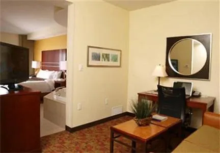 SpringHill Suites by Marriott Pigeon Forge