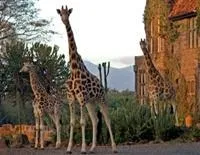 Giraffe Manor Hotel Nairobi