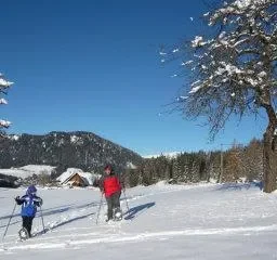 Bauernhof Grossgrub Vacation Homes Vorderstoder