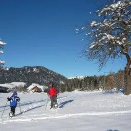 Bauernhof Grossgrub Vacation Homes Vorderstoder