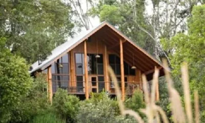 The Canopy Rainforest Treehouses and Wildlife Sanctuary