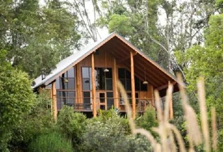 The Canopy Rainforest Treehouses and Wildlife Sanctuary