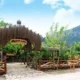 Olympos Deep Green Bungalows