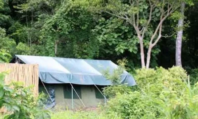 Udzungwa Forest Tented Camp Kilombero