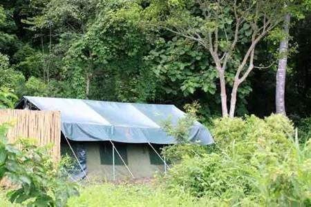 Udzungwa Forest Tented Camp Kilombero