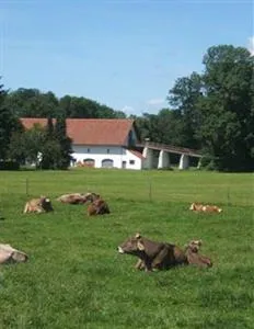 Pension Bed and Breakfast Kirschenfee Sontheim