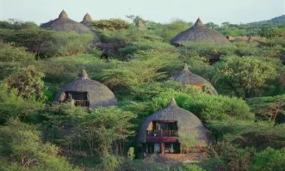 Serengeti Serena Safari Lodge