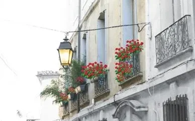 Nid ‘Oiseau Chambres d’Hotes Montpellier