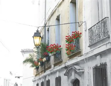 Nid ‘Oiseau Chambres d’Hotes Montpellier