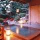 Hiranoya Aichi Ryokan Hotel Gamagori