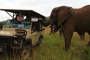 Addo Elephant Back Safaris and Lodge