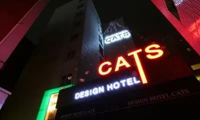 Cats Hotel