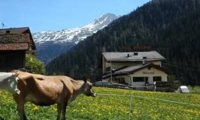 Hotel Restaurant Walserhof