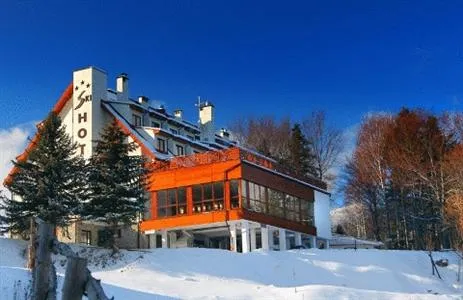 Ski Hotel