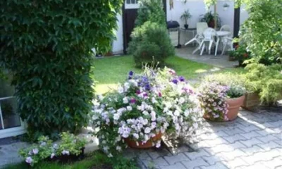 Pension Vila Sarka