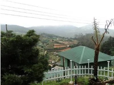 Misty Hills Cottage