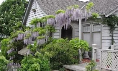 Lake Union Cottage