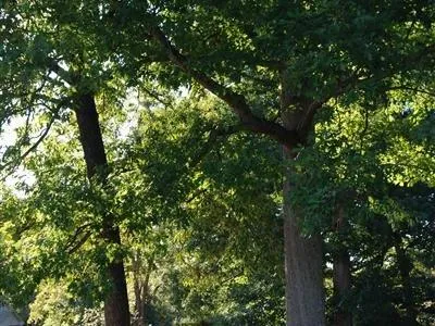 Inn at Westwood Farm