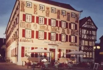 Hotel Karpfen