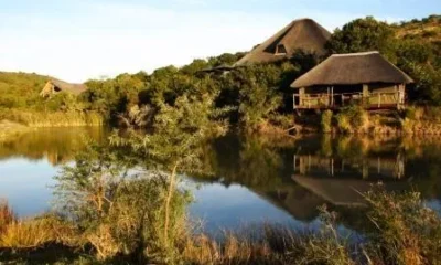 Shamwari Bayethe Tented Camp Paterson (South Africa)