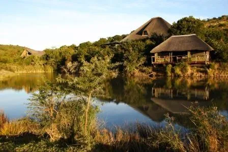 Shamwari Bayethe Tented Camp Paterson (South Africa)