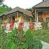 The Chardham Harsil Camp Uttarkashi