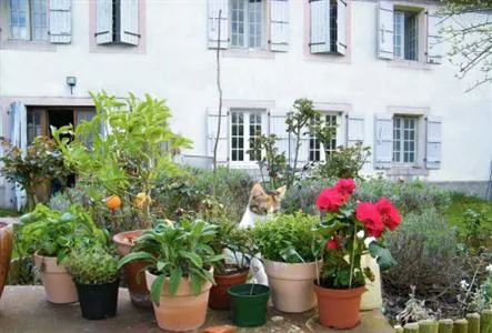 Maison Bonne La Vie Bed & Breakfast Saint-Sever-de-Rustan