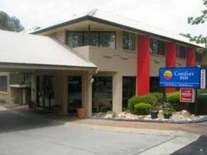 Comfort Inn Central Deborah