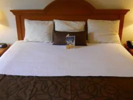 BEST WESTERN Windsor Inn & Suites