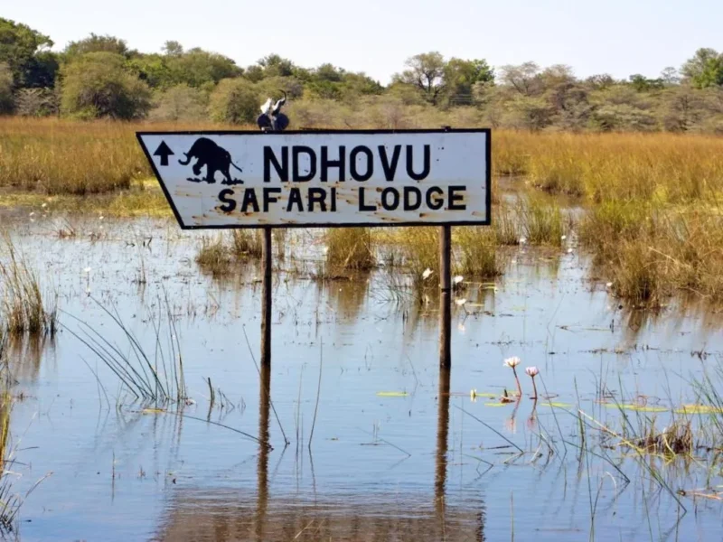 Ndhovu Safari Lodge