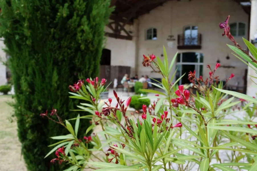 Domaine des Chais de Thenac