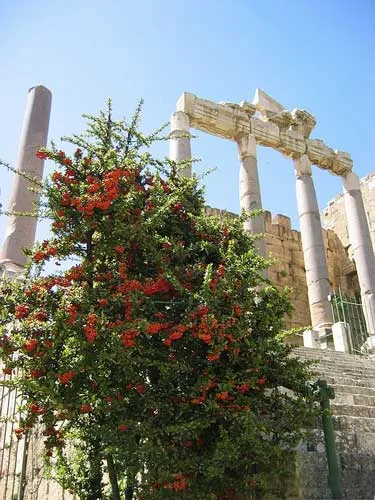 Маленький кусочек Ливана в начале апреля